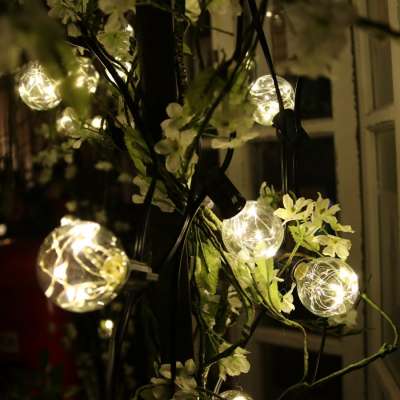 Hot Sale Fairy Home Wedding Amazon G40 Clear Globe Bulbs Light String  E12 Base Bulb  Copper Wire Lighting Strand